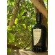 Olio NOVELLO ExtraVergine di Oliva Biologico Certificato Varietà Nocellara della Valle del Belice bott.da 0,50 ml