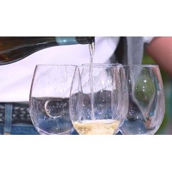 Catarratto Cantine Birgi bio in box da 3 litri