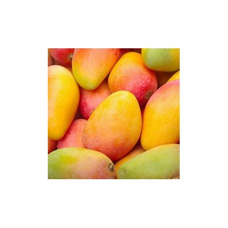 Mango biologico siciliano Kensington cassetta X Kg.5