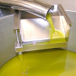 Olio NOVELLO ExtraVergine di oliva biologico certificato Cracchiolo c.o. 2022/2023