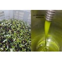 ExtraVirgin Olive Oil Certified organic tinplate