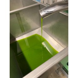Olio Extravergine di oliva Cracchiolo biologico certificato. Latta da L.5. c.o.2018/2019