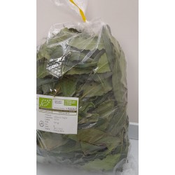 Alloro di Sicilia in foglie biologico busta da 200 gr.