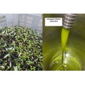 Fer-blanc biologique certifié à l'huile d'olive extra vierge