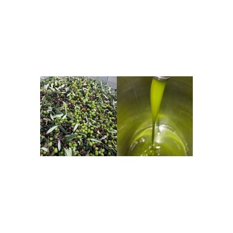 Olio ExtraVergine di oliva Cracchiolo biologico certificato latta da L.3